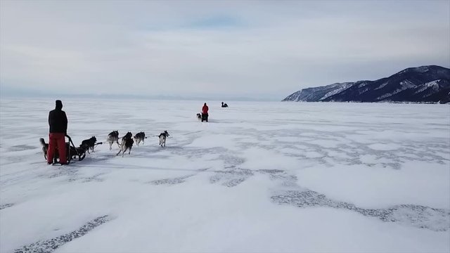 Drone shot following a dog team on lake Baikal.