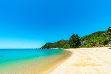tropical beach in abel tasman national park, new zealand 75