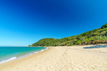 Fototapeta na wymiar tropical beach in abel tasman national park, new zealand 88