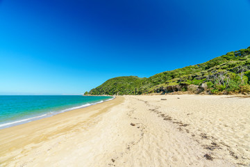 Fototapeta na wymiar tropical beach in abel tasman national park, new zealand 89