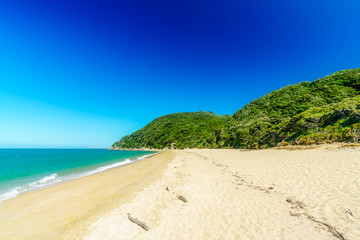 Fototapeta na wymiar tropical beach in abel tasman national park, new zealand 91