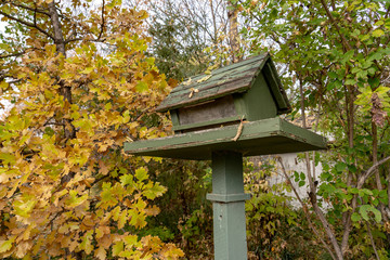 Wooden Bird House Feeder in Autumn 