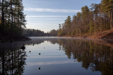 reflection of trees in water