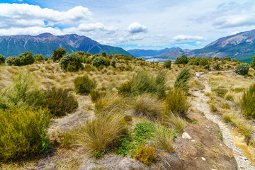 hiking the bealey spur track, arthurs pass, new zealand 3