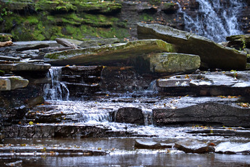 Stream in Northeast Pennsylvania