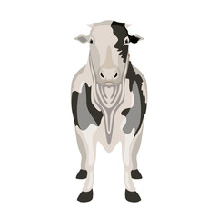 Front view of a cow. Farm animal. Vector illustration design
