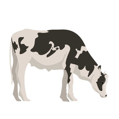 Isolated cute cow image. Vector illustration design