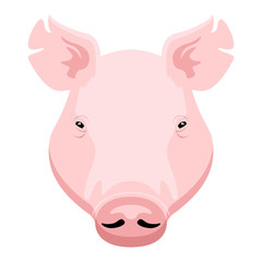 Isolated pig head image. Vector illustration design