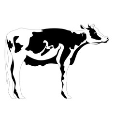 Isolated cute cow silhouette. Vector illustration design