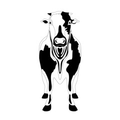 Front view of a cow. Silhouette. Vector illustration design