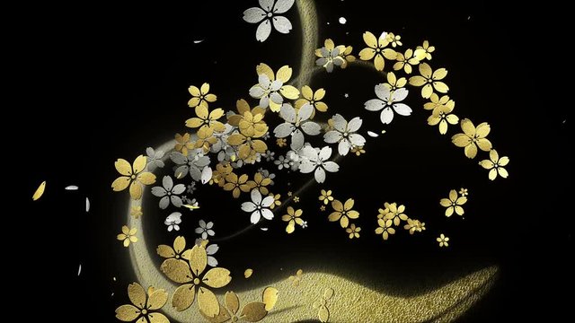金銀の桜の軌跡_2