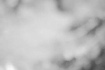 white gray background / soft grey gradient abstract background