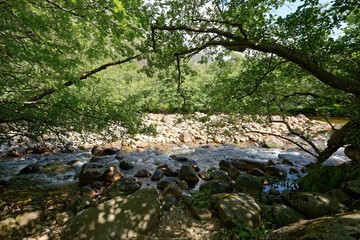 Schottland - Glen Nevis - Water of Nevis