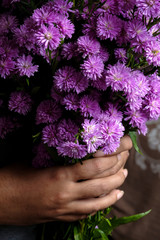 Fototapeta na wymiar Beautiful purple flowers