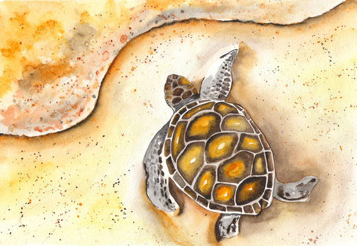 Sea turtle watercolor. Watercolor seascape. For postcards, posters, posters, summer design.