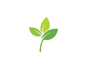 green leaf logo vector