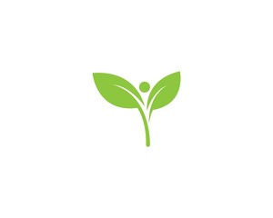 Fototapeta na wymiar green leaf logo vector