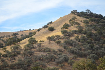 California Hills