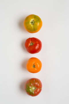 Row of tomatoes