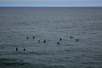 Pacific Surfing