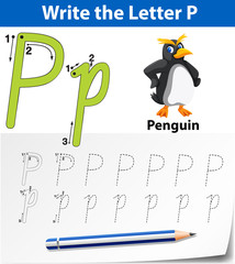 Letter P tracing alphabet worksheets