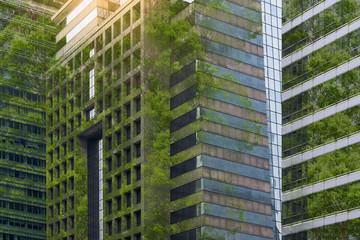 Corporate building in city plants growing Sustainability Sustainable, green energy