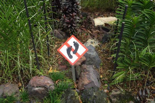 Interdit de marcher sur la pelouse