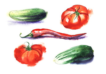 Red tomatos, chili pepper, green cucumber. Set of five hand drawn watercolor illustrtion on a textured paper. Isolate on a hite background.