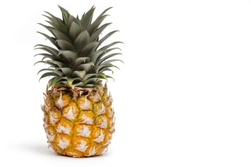 Cute Mini Exotic Organic Pineapple Fruit