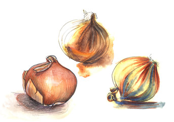 Golden onion. Set of three hand drawn watercolor illustration on a textured paper. Isolate on a hite background.