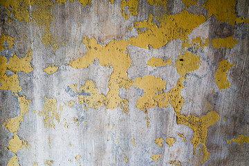 The old yellow on the wall that is going to peel off
