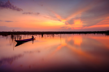 Fototapeta na wymiar Sebangau River Central Kalimantan Indonesia