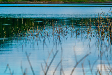 At the rural water basin.9