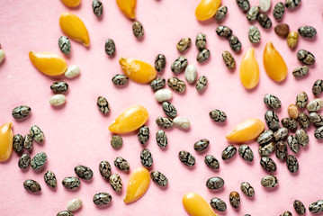 Healthy superfood:  flax seeds, chia seeds and hemp shelled seed on pink background