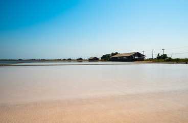 Salt production area11