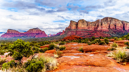 Streams and Puddles on the Red Rocks the Munds Mountain after a heavy rainfall near the town of Sedona in northern Arizona in Coconino National Forest, USA - Powered by Adobe