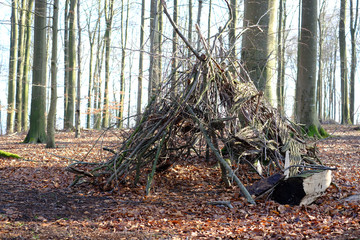 Naturhütte im Wald