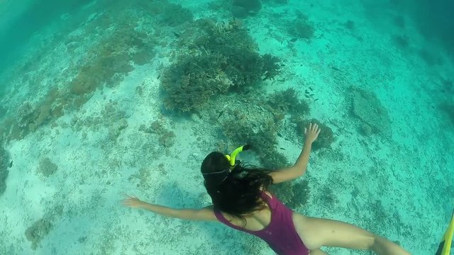 Thin brunette wearing diving mask and snorkel with flippers dives under the water, girl in purple swim suit floating azure deep, enjoying sunny day
