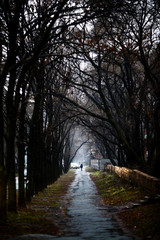 A man walking along the road with an umbrella in the rain