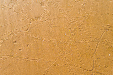 Beautiful sea mornings32