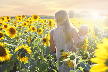 Mother and Baby Daughter Walking through Sunflower Field at Sunset