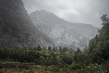 Fototapeta na wymiar rainy and foggy day in the mountains