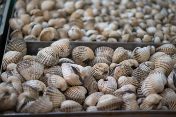 Close-up cockles clams for sale at seafood market.