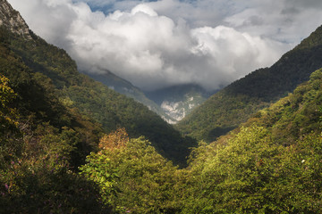 Fototapeta na wymiar mountain range covered with forest in autumn day