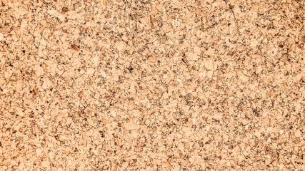 burlap texture background / cotton woven fabric background with flecks of varying colors of beige and brown. with copy space. office desk concept. 