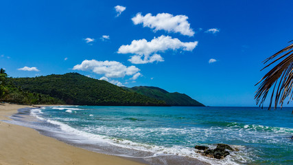 Ein Traumstrand mit Bergen, Palme in Punta Cana, Atlantik, nördlich des Äquators