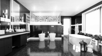 Luxury Bathroom (black & white)