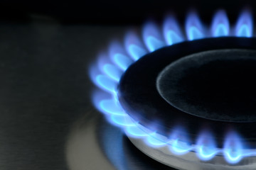 Natural gas burning on kitchen gas stove on black