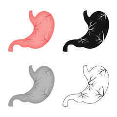 Vector illustration of body and human icon. Set of body and medical stock symbol for web.