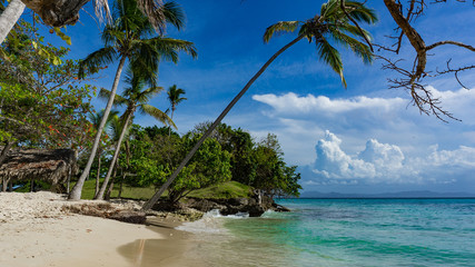Bacardi island - Isla Cayo Levantado, Strand mit Felsen  Palmen, Atlantik, nördlich des Äquators